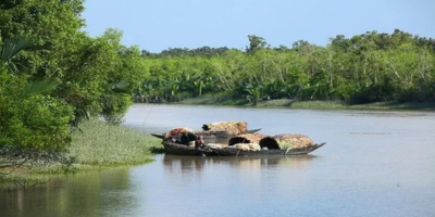 Sundarban package
